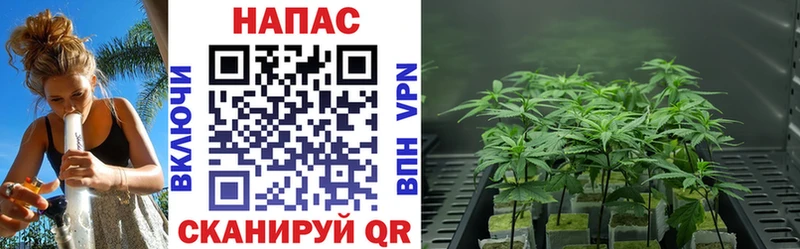 Наркотические вещества Раменское ГАШИШ  Амфетамин  МЕФ  Марихуана  Cocaine  Alpha-PVP 